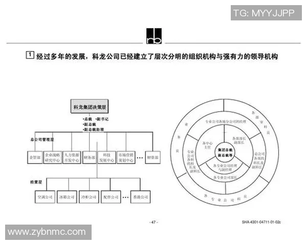 深入分析上海排球队的运营策略与市场推广模式探讨