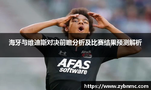 海牙与维迪斯对决前瞻分析及比赛结果预测解析