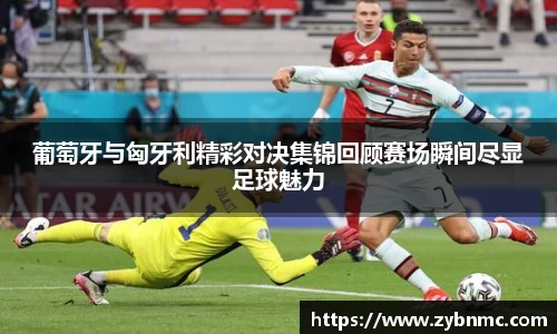 葡萄牙与匈牙利精彩对决集锦回顾赛场瞬间尽显足球魅力